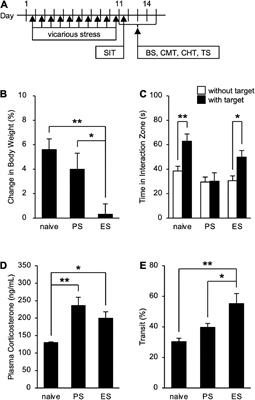 Repeated psychological stress, chronic vicarious social defeat stress, evokes irritable bowel syndrome-like symptoms in mice